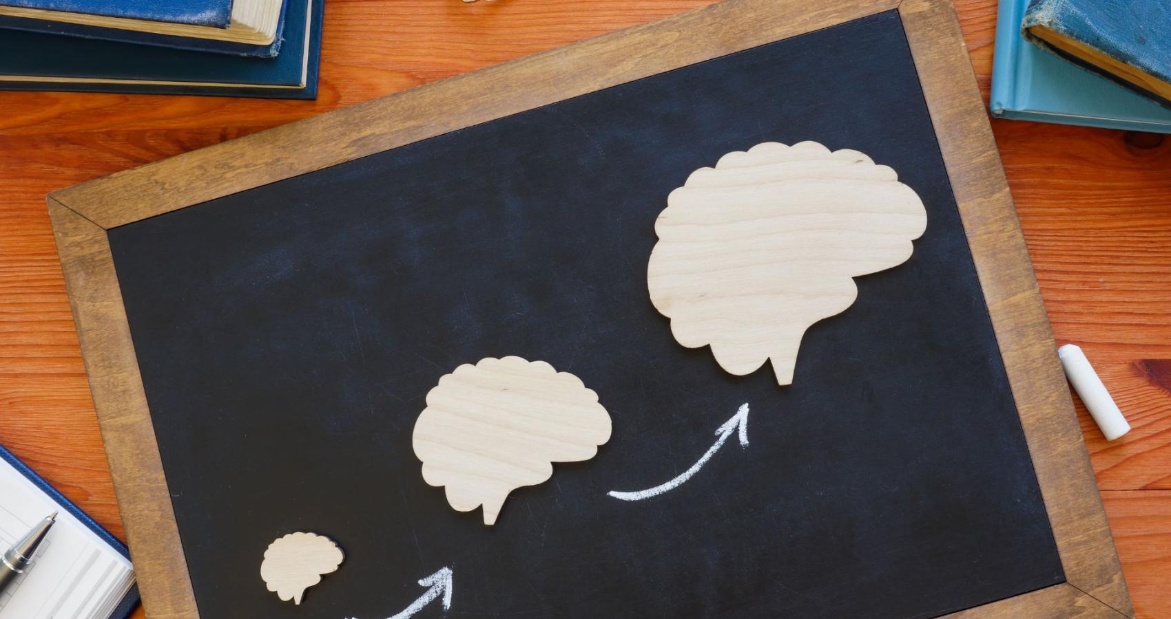 Educational psychologist working with a child