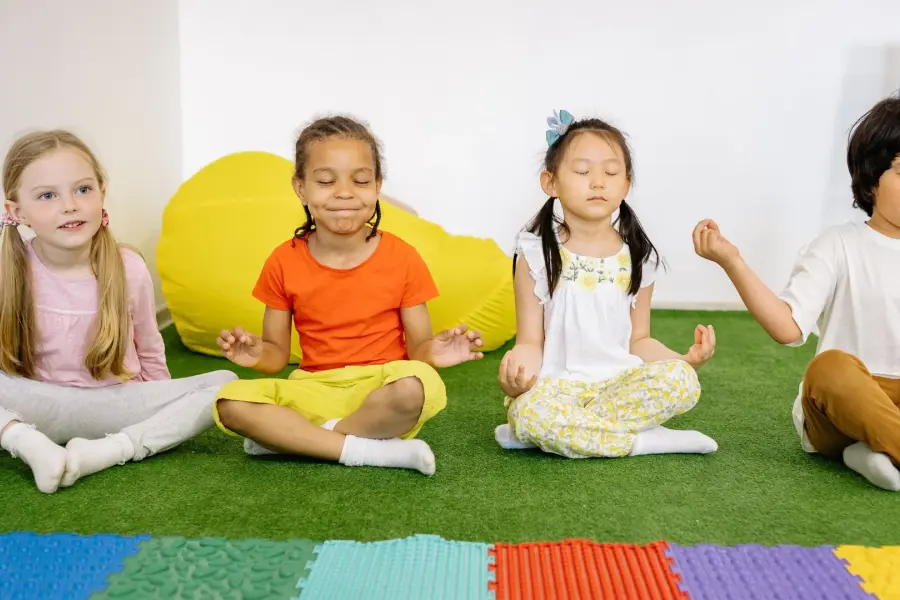 Helping Children Self Regulate 5d11b7831db748a3800400bb7e1c5050