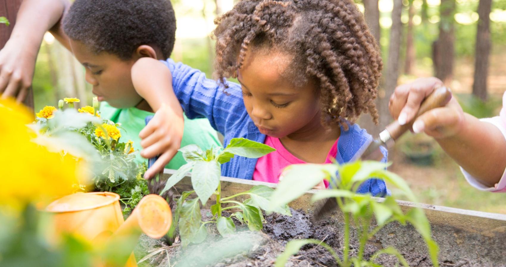 Educational psychologist working with a child