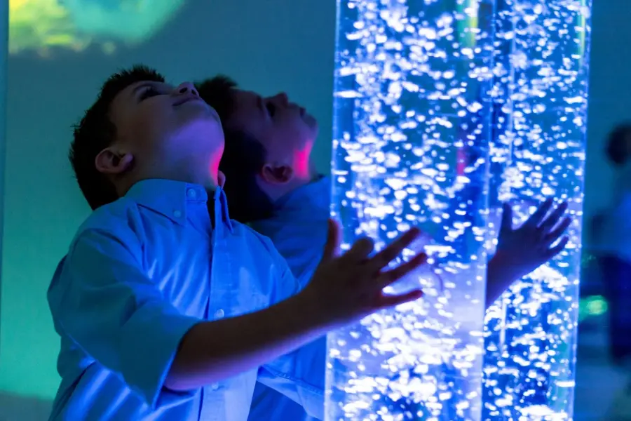 Sensory Room 9506df6e7921408f9ff8423dc8d68595