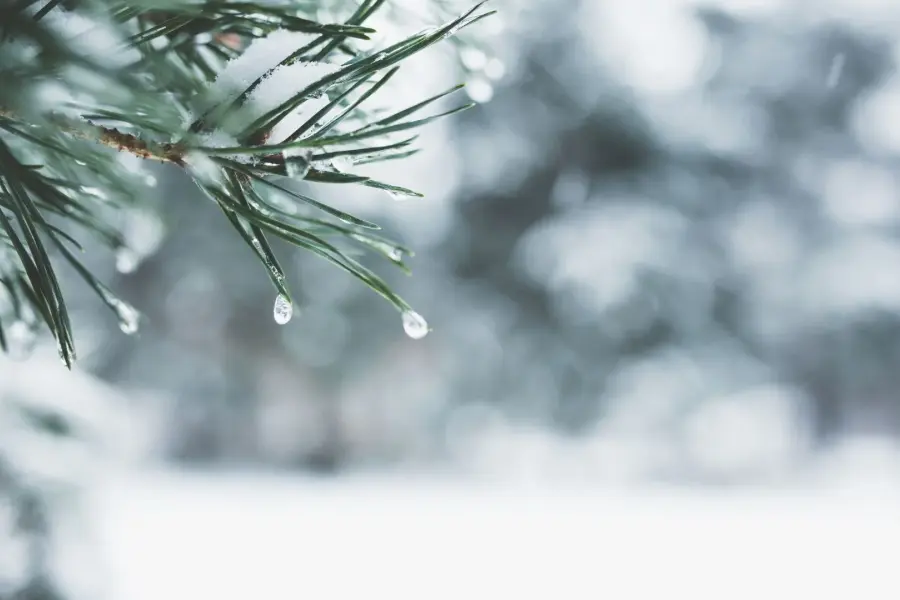 Winter 997546b5e8f64c76ac0f67858135d077