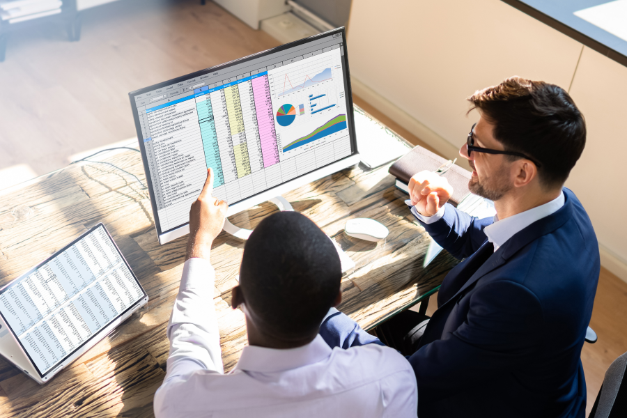 Two smart professionals looking at a computer screen which displays a spreadsheet