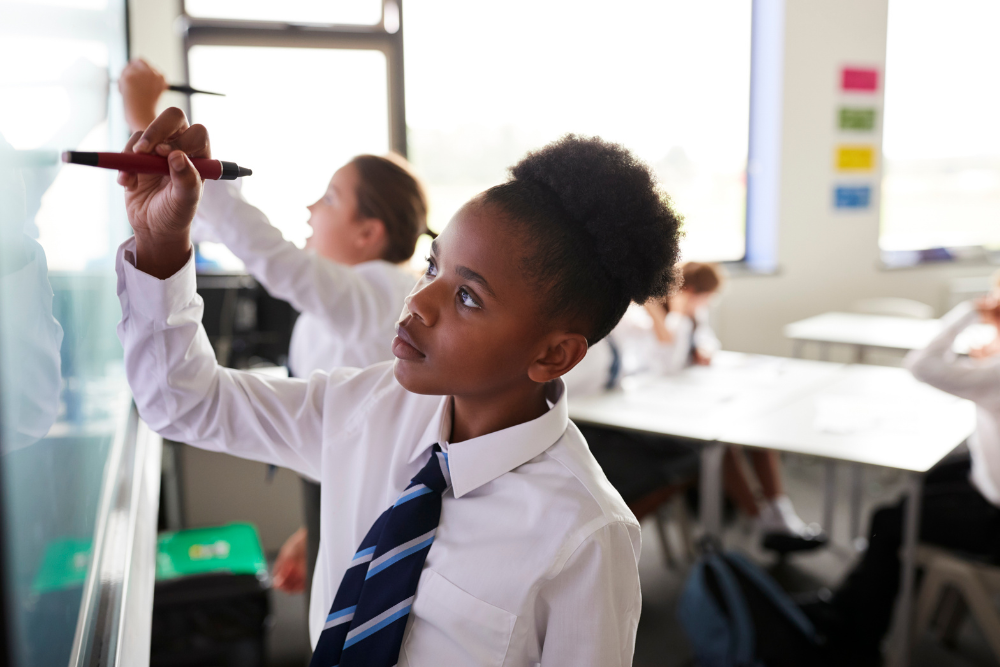 Pupil Referral Unit (PRU)