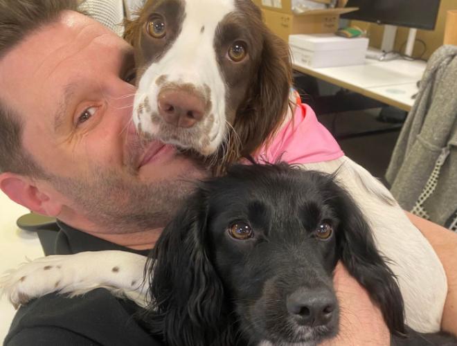 A Spencer Clarke Group employee with two sprocker spaniels